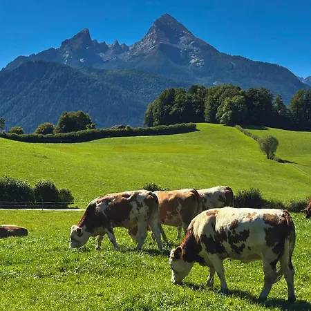 Lägenhet Boutique „kleiner Watzmann“ *