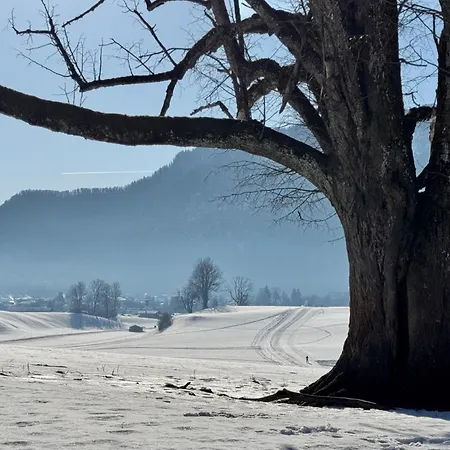 Boutique „kleiner Watzmann“ Lägenhet Schönau am Königssee